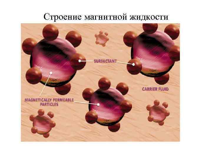 Строение жидкости. Строение магнитной жидкости. Магнитная жидкость схема. Синтез магнитной жидкости. Описания строения жидкости.