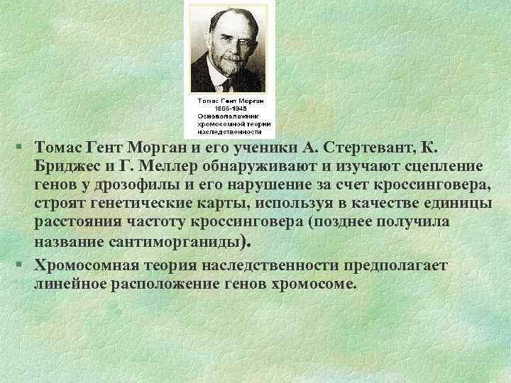  Томас Гент Морган и его ученики А. Стертевант, К. Бриджес и Г. Меллер