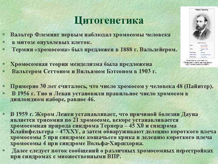 Цитогенетика Вальтер Флеминг первым наблюдал хромосомы человека в митозе опухолевых клеток. Термин «хромосома» был