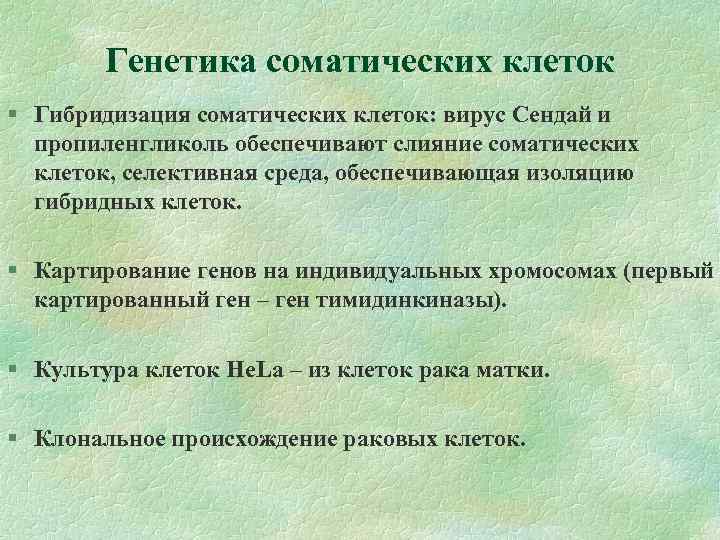 Гибридизация соматических клеток картинки