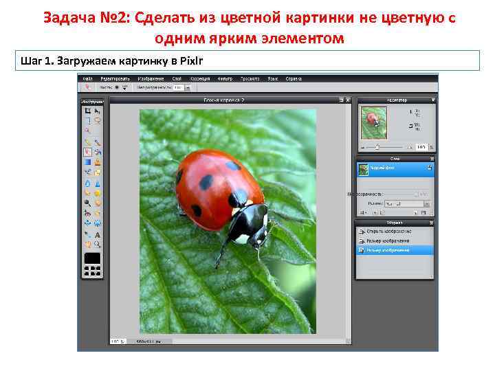 Задача № 2: Сделать из цветной картинки не цветную с одним ярким элементом Шаг