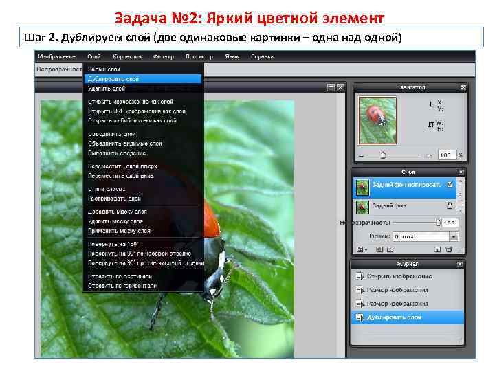 Задача № 2: Яркий цветной элемент Шаг 2. Дублируем слой (две одинаковые картинки –