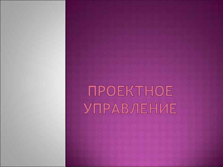 ПРОЕКТНОЕ УПРАВЛЕНИЕ 