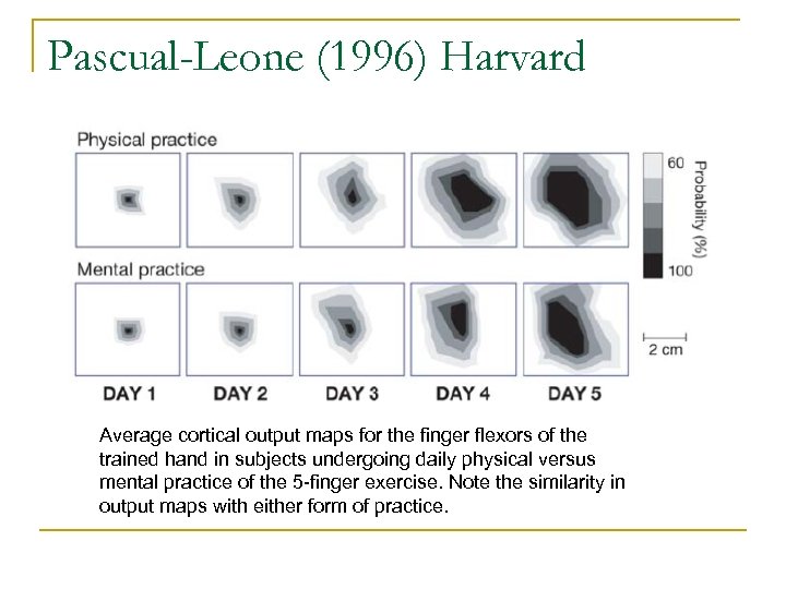 Pascual-Leone (1996) Harvard Average cortical output maps for the finger flexors of the trained