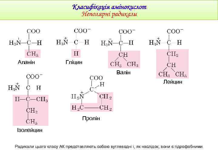 Неполярні радикали Аланін Гліцин Валін Лейцин Пролін Ізолейцин Радикали цього класу АК представляють собою