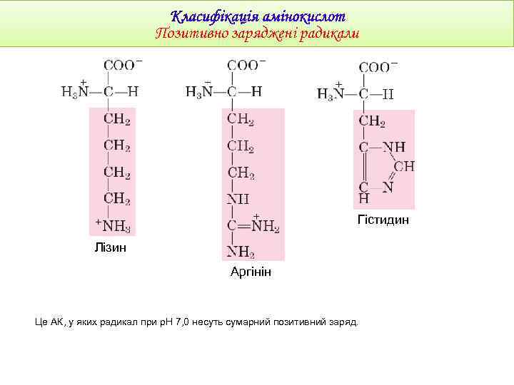 Позитивно заряджені радикали Гістидин Лізин Аргінін Це АК, у яких радикал при р. Н