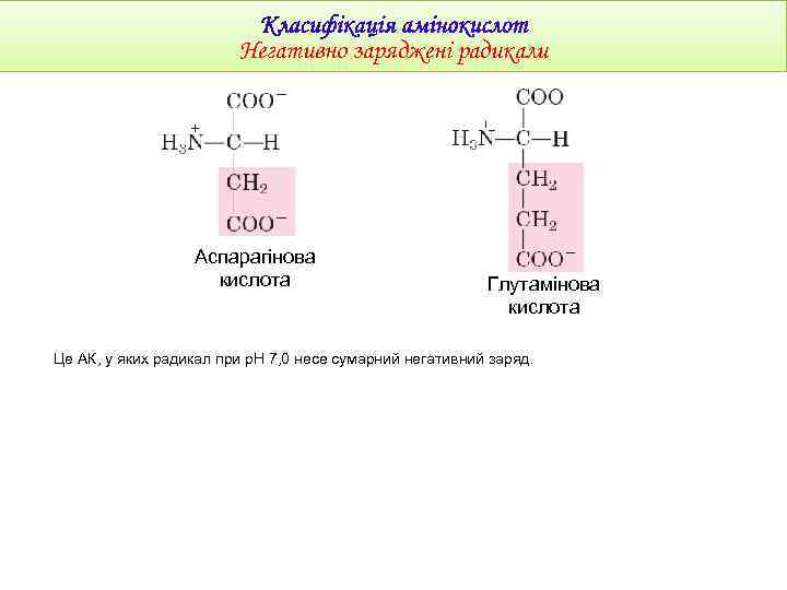 Негативно заряджені радикали Аспарагінова кислота Глутамінова кислота Це АК, у яких радикал при р.