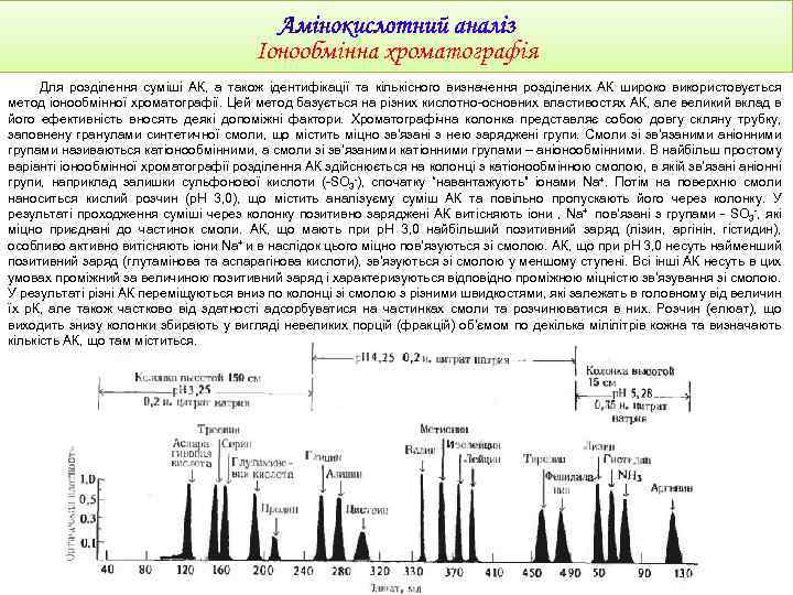 Іонообмінна хроматографія Для розділення суміші АК, а також ідентифікації та кількісного визначення розділених АК
