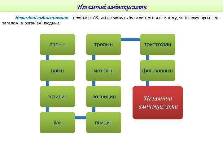Незамінні амінокислоти – необхідні АК, які не можуть бути синтезовані в тому, чи іншому