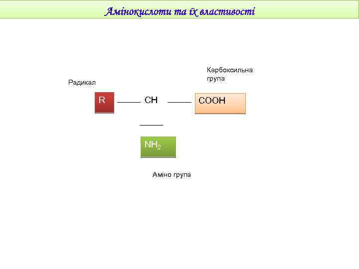 Карбоксильна група Радикал R CH NH 2 Аміно група COOH 