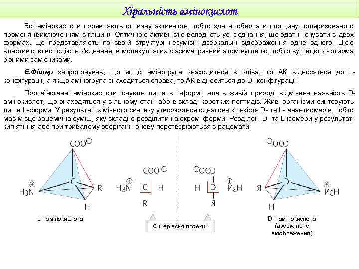Всі амінокислоти проявляють оптичну активність, тобто здатні обертати площину поляризованого променя (виключенням є гліцин).