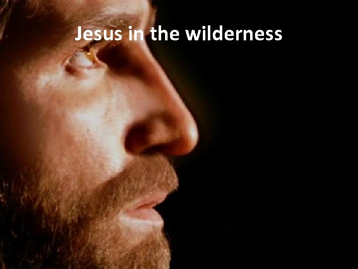 Jesus in the wilderness 