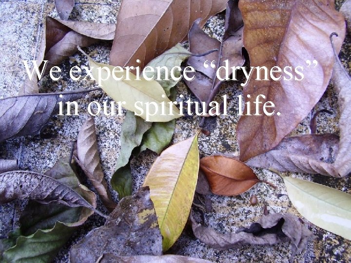 We experience “dryness” in our spiritual life. 