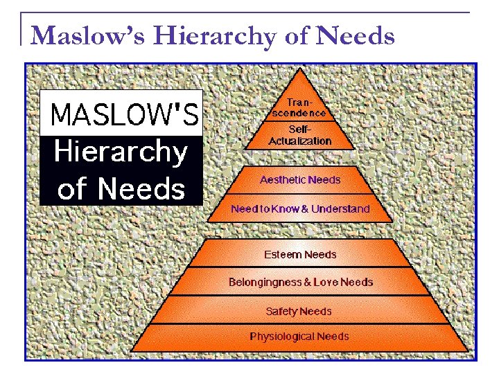 Maslow’s Hierarchy of Needs 