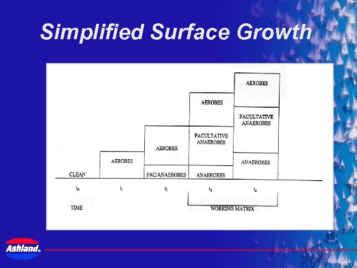 Simplified Surface Growth ® 