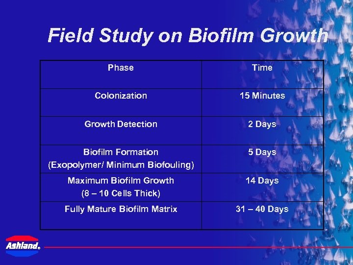 Field Study on Biofilm Growth Phase Colonization 15 Minutes Growth Detection 2 Days Biofilm