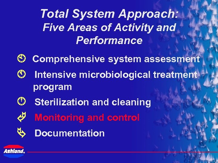 Total System Approach: Five Areas of Activity and Performance Comprehensive system assessment Intensive microbiological