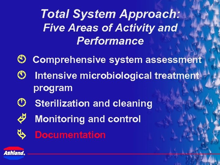 Total System Approach: Five Areas of Activity and Performance Comprehensive system assessment Intensive microbiological