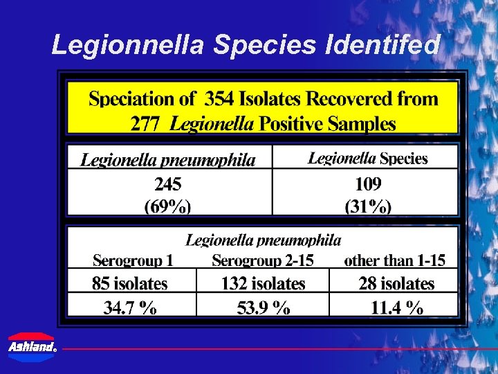 Legionnella Species Identifed ® 