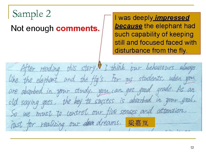 Sample 2 Not enough comments. I was deeply impressed because the elephant had such