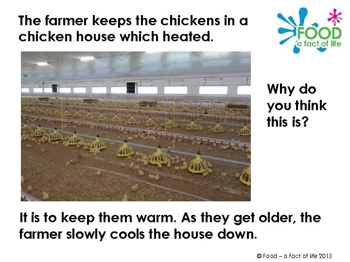 The farmer keeps the chickens in a chicken house which heated. Why do you