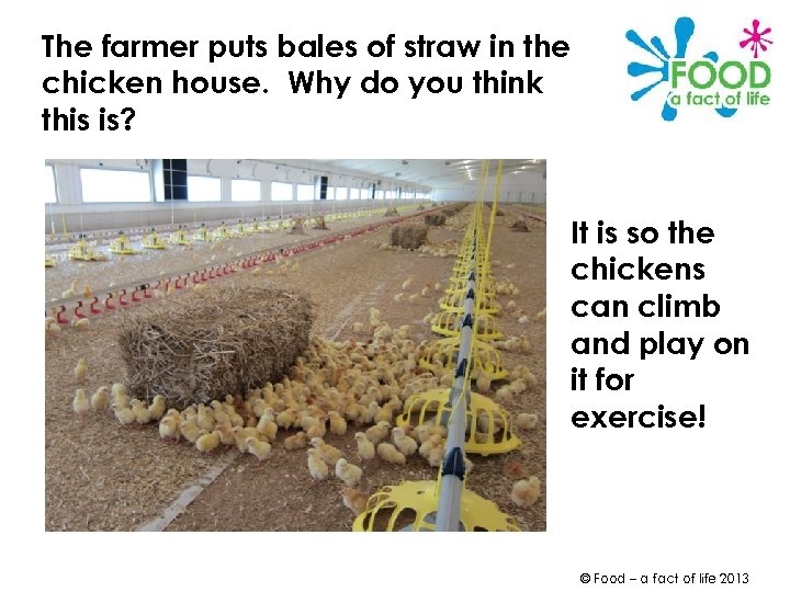 The farmer puts bales of straw in the chicken house. Why do you think