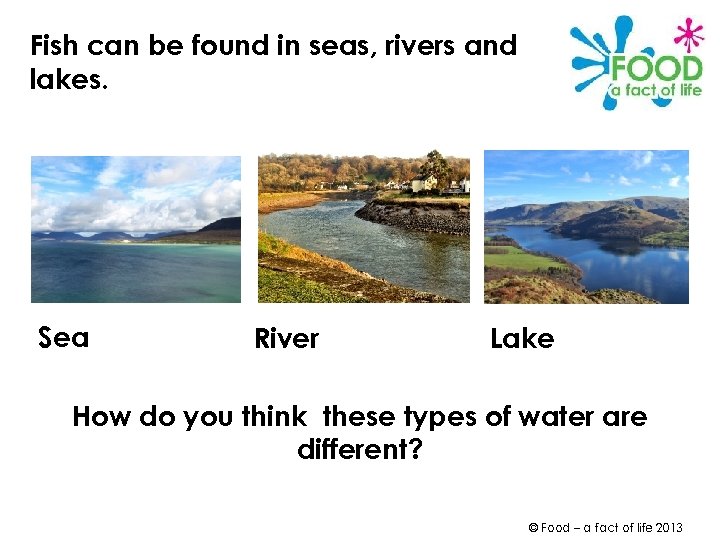 Fish can be found in seas, rivers and lakes. Sea River Lake How do