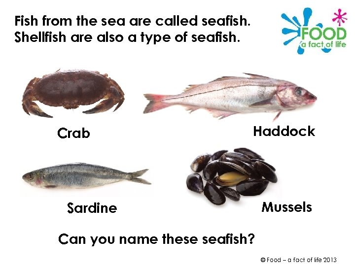 Fish from the sea are called seafish. Shellfish are also a type of seafish.