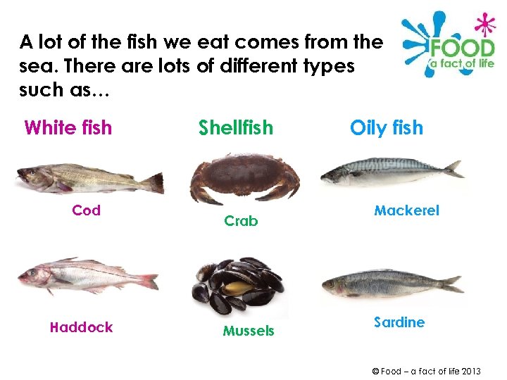 A lot of the fish we eat comes from the sea. There are lots