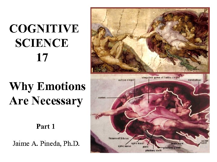 COGNITIVE SCIENCE 17 Why Emotions Are Necessary Part 1 Jaime A. Pineda, Ph. D.