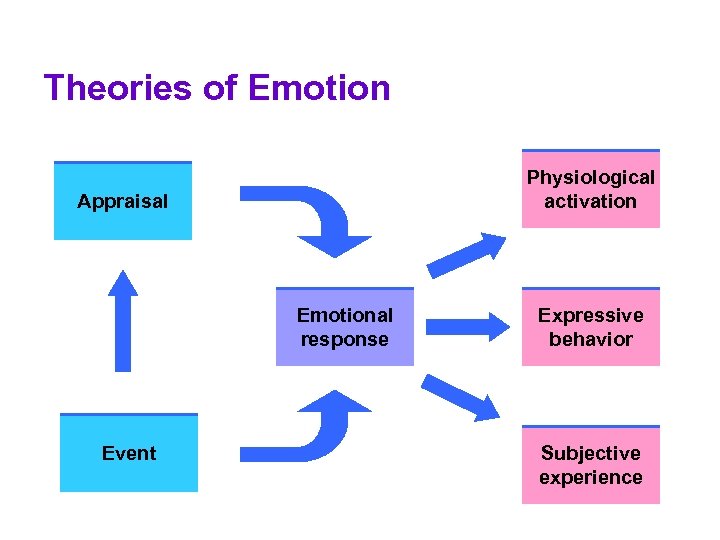Theories of Emotion Physiological activation Appraisal Emotional response Event Expressive behavior Subjective experience 