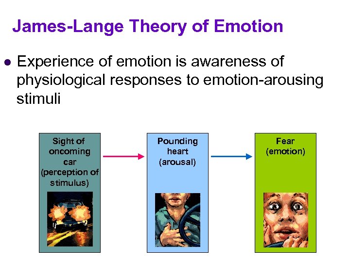 James-Lange Theory of Emotion l Experience of emotion is awareness of physiological responses to