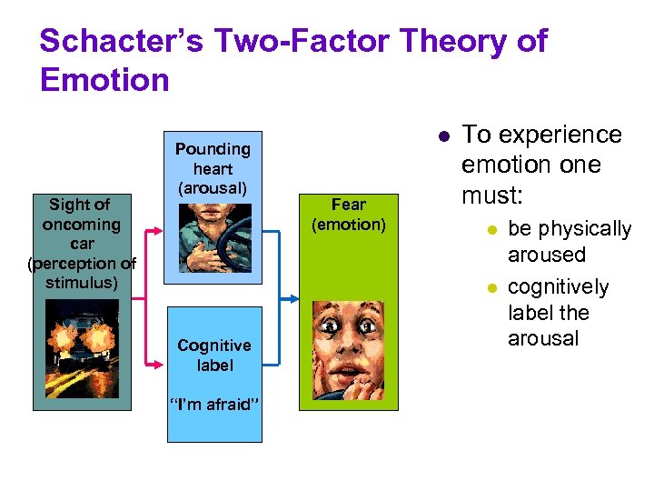 Schacter’s Two-Factor Theory of Emotion Sight of oncoming car (perception of stimulus) Pounding heart