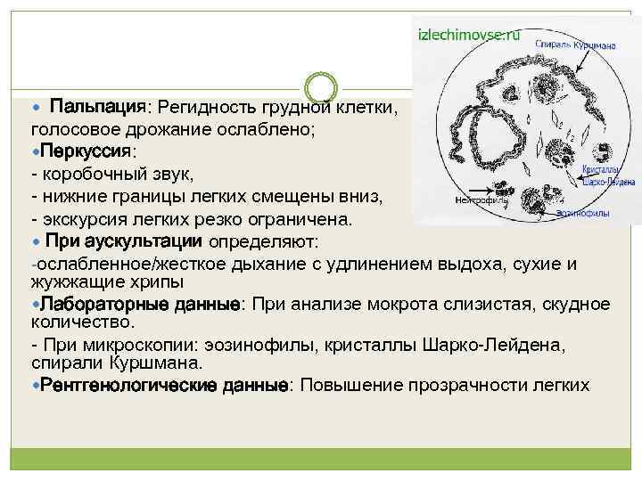  Пальпация: Регидность грудной клетки, голосовое дрожание ослаблено; Перкуссия: - коробочный звук, - нижние