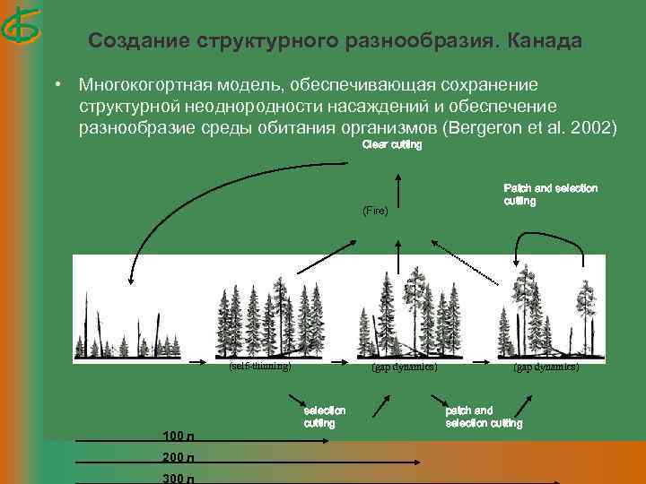 Создание структурного разнообразия. Канада • Многокогортная модель, обеспечивающая сохранение структурной неоднородности насаждений и обеспечение