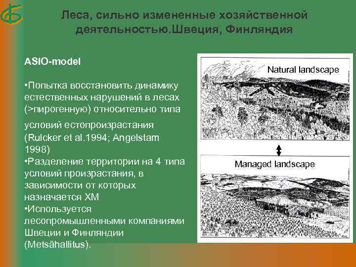 Леса, сильно измененные хозяйственной деятельностью. Швеция, Финляндия ASIO-model Natural landscape • Попытка восстановить динамику