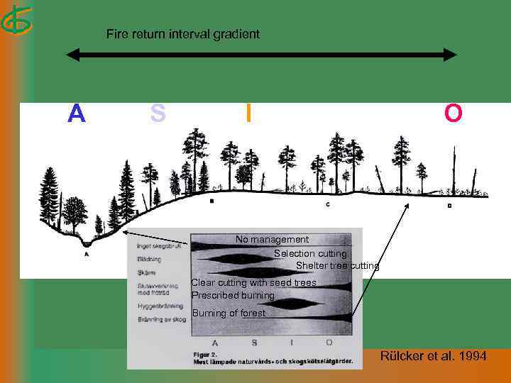 Fire return interval gradient A S I O No management Selection cutting Shelter tree