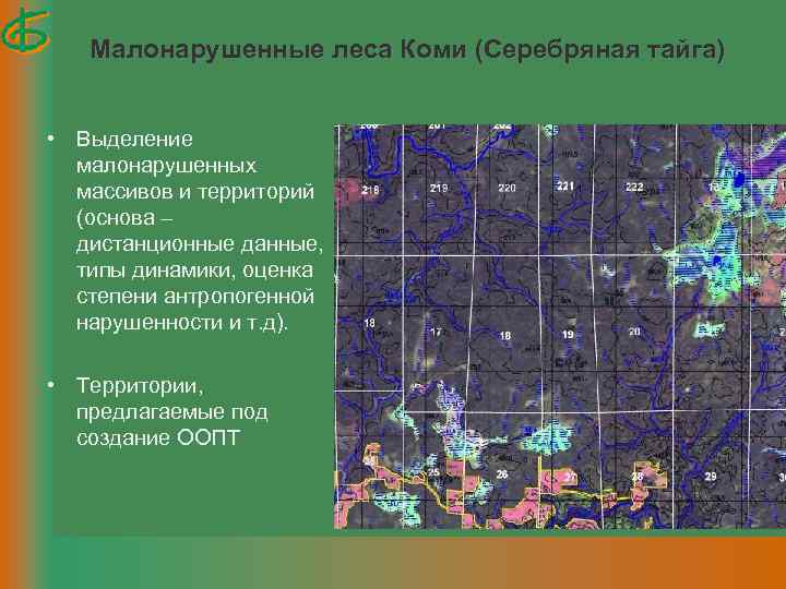 Малонарушенные леса Коми (Серебряная тайга) • Выделение малонарушенных массивов и территорий (основа – дистанционные