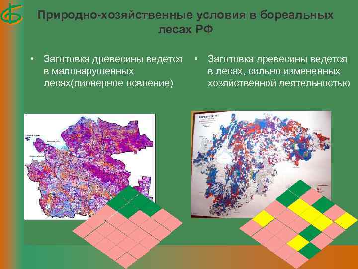 Природно-хозяйственные условия в бореальных лесах РФ • Заготовка древесины ведется в малонарушенных лесах(пионерное освоение)