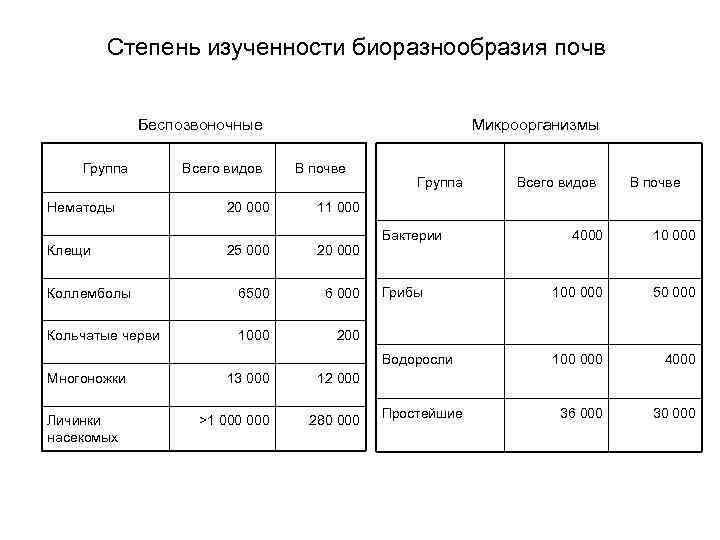 Степень изученности биоразнообразия почв Беспозвоночные Группа Всего видов Микроорганизмы В почве Нематоды 20 000