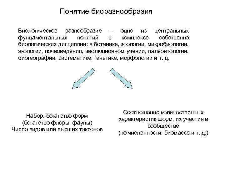 Понятие биоразнообразия Биологическое разнообразие – одно из центральных фундаментальных понятий в комплексе собственно биологических