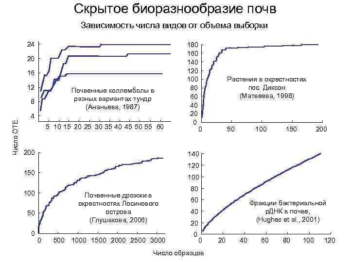 Скрытое биоразнообразие почв Зависимость числа видов от объема выборки 24 20 16 12 Почвенные