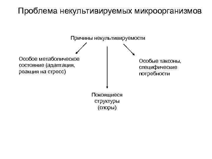 Проблема некультивируемых микроорганизмов Причины некультивируемости Особое метаболическое состояние (адаптация, реакция на стресс) Особые таксоны,