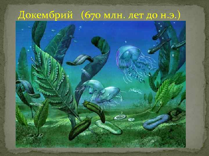 Докембрий (670 млн. лет до н. э. ) 