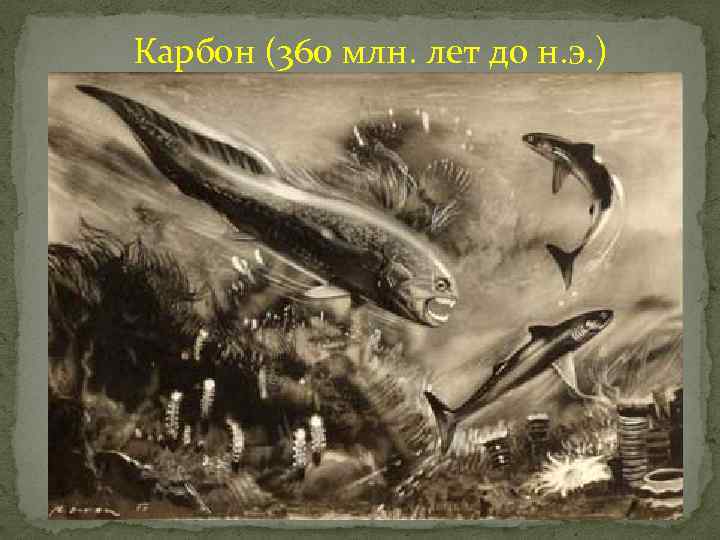 Карбон (360 млн. лет до н. э. ) 