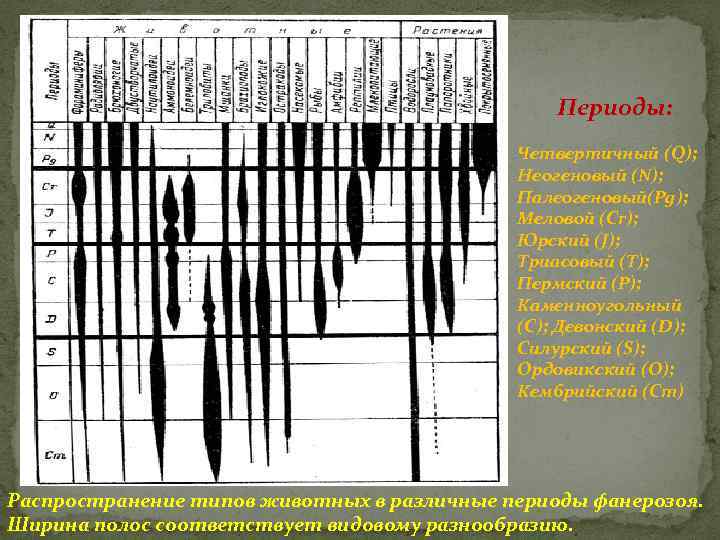 Периоды: Четвертичный (Q); Неогеновый (N); Палеогеновый(Pg); Меловой (Cr); Юрский (J); Триасовый (Т); Пермский (Р);