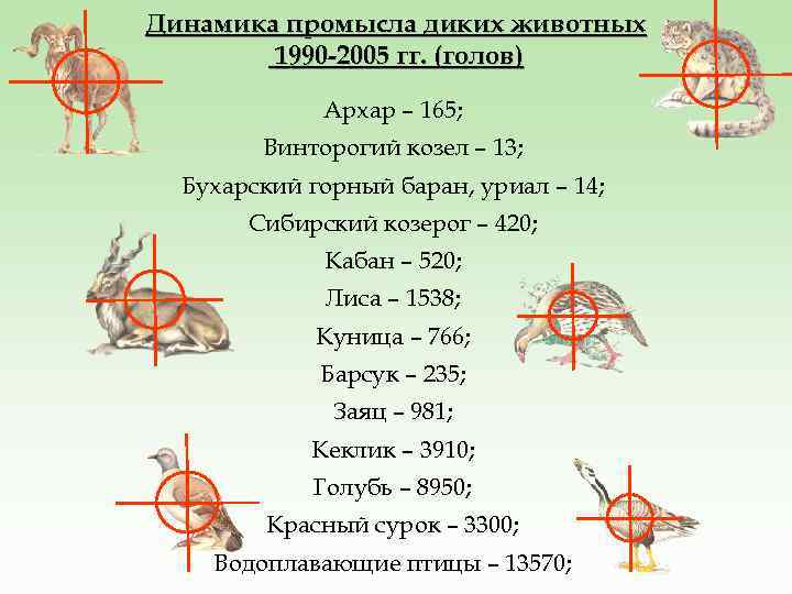 Динамика промысла диких животных 1990 -2005 гг. (голов) Архар – 165; Винторогий козел –