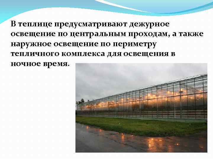 В теплице предусматривают дежурное освещение по центральным проходам, а также наружное освещение по периметру