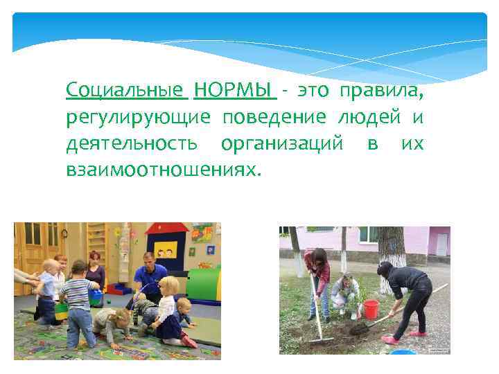 Социальные НОРМЫ - это правила, регулирующие поведение людей и деятельность организаций в их взаимоотношениях.