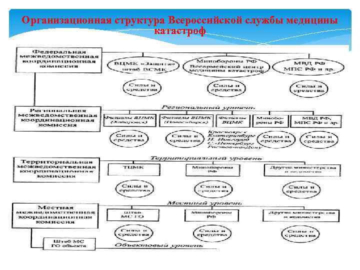 Уровни организации всмк